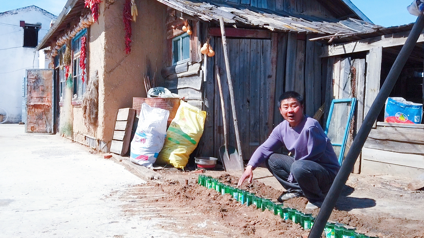 大兴安岭山村农家院,废旧啤酒瓶做花池,干完活排骨炖玉米豆角吃